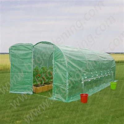 Nhà kính đường hầm có cửa sổ thu nước mưa
